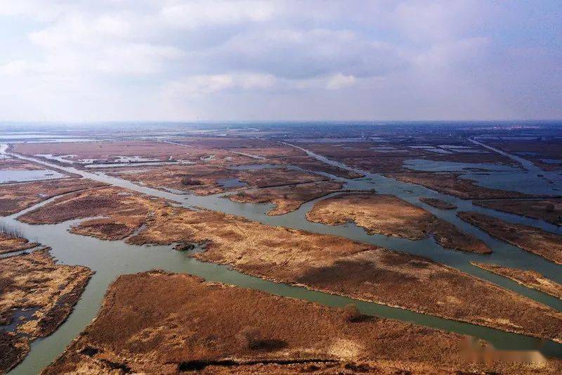 鹽城旅遊年卡建湖九龍口風景區