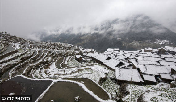 罗京来|贵州从江：雪落梯田美如画