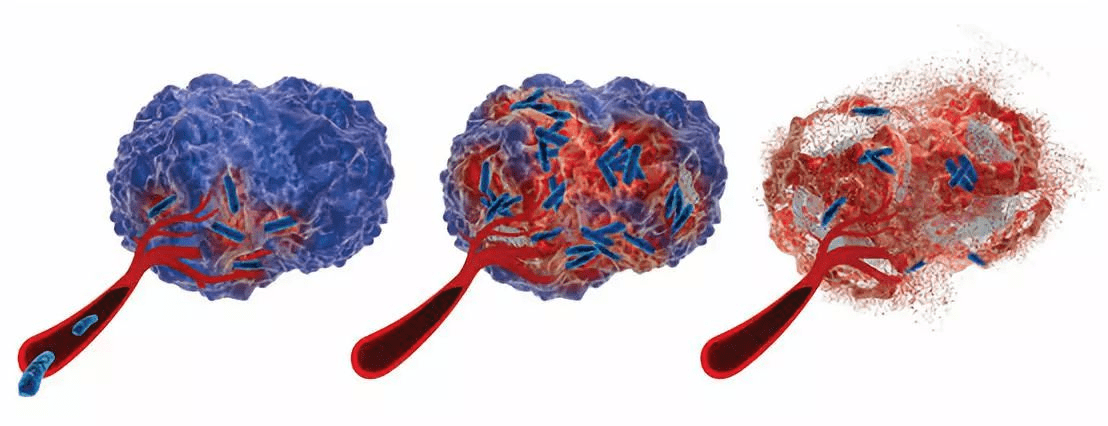 除虫菊|万三| 二氧化碳人工合成淀粉背后：合成生物学——构建未来的制造方式