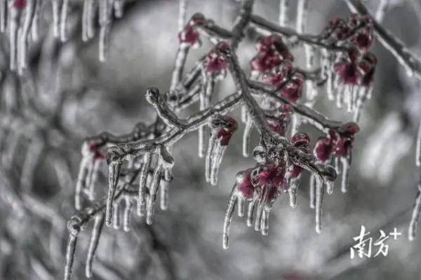 广东|银装素裹！第一视角带你“穿越”广东冰雪奇景