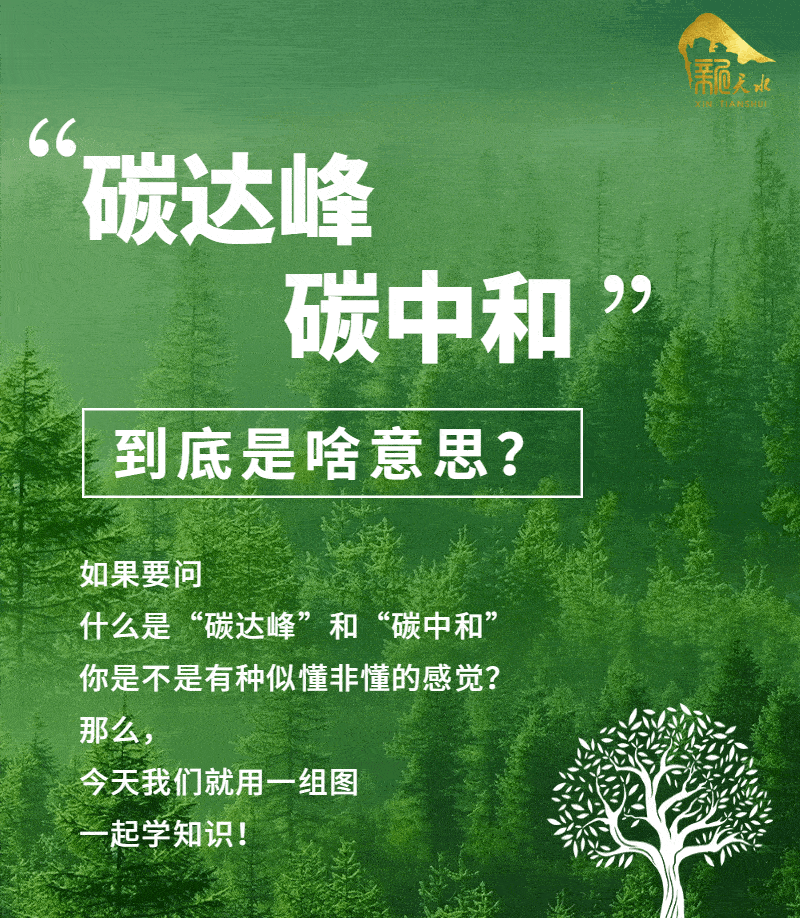 一图读懂什么是碳达峰碳中和