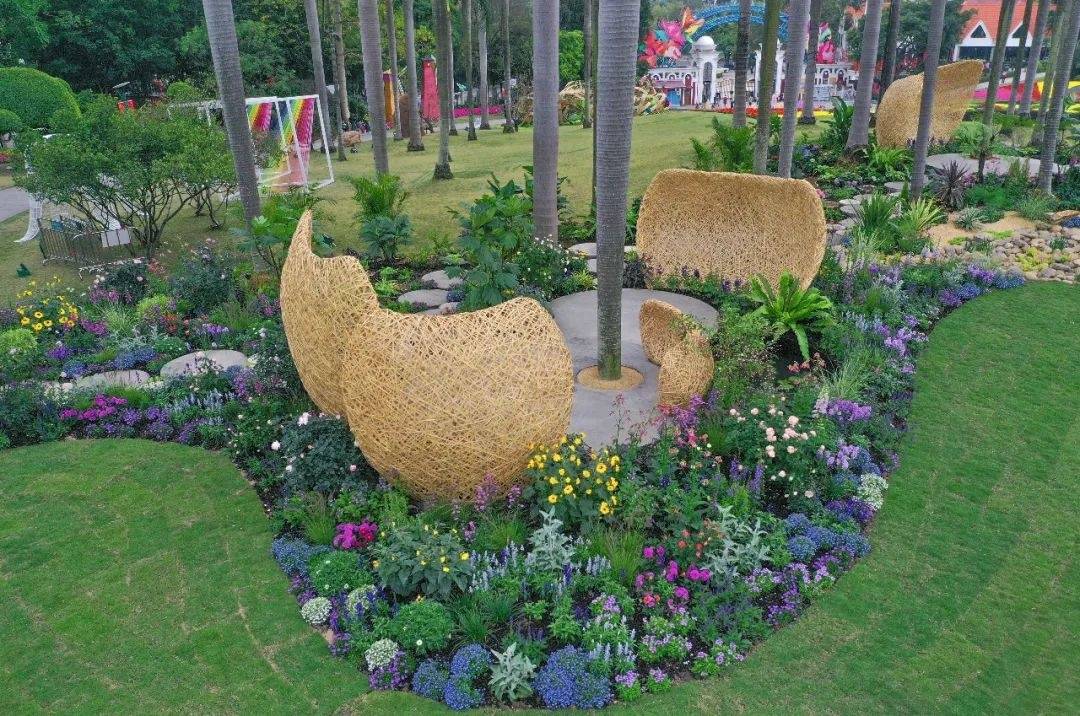 放晴了约起来云台花园郁金香花展延长至3月8日