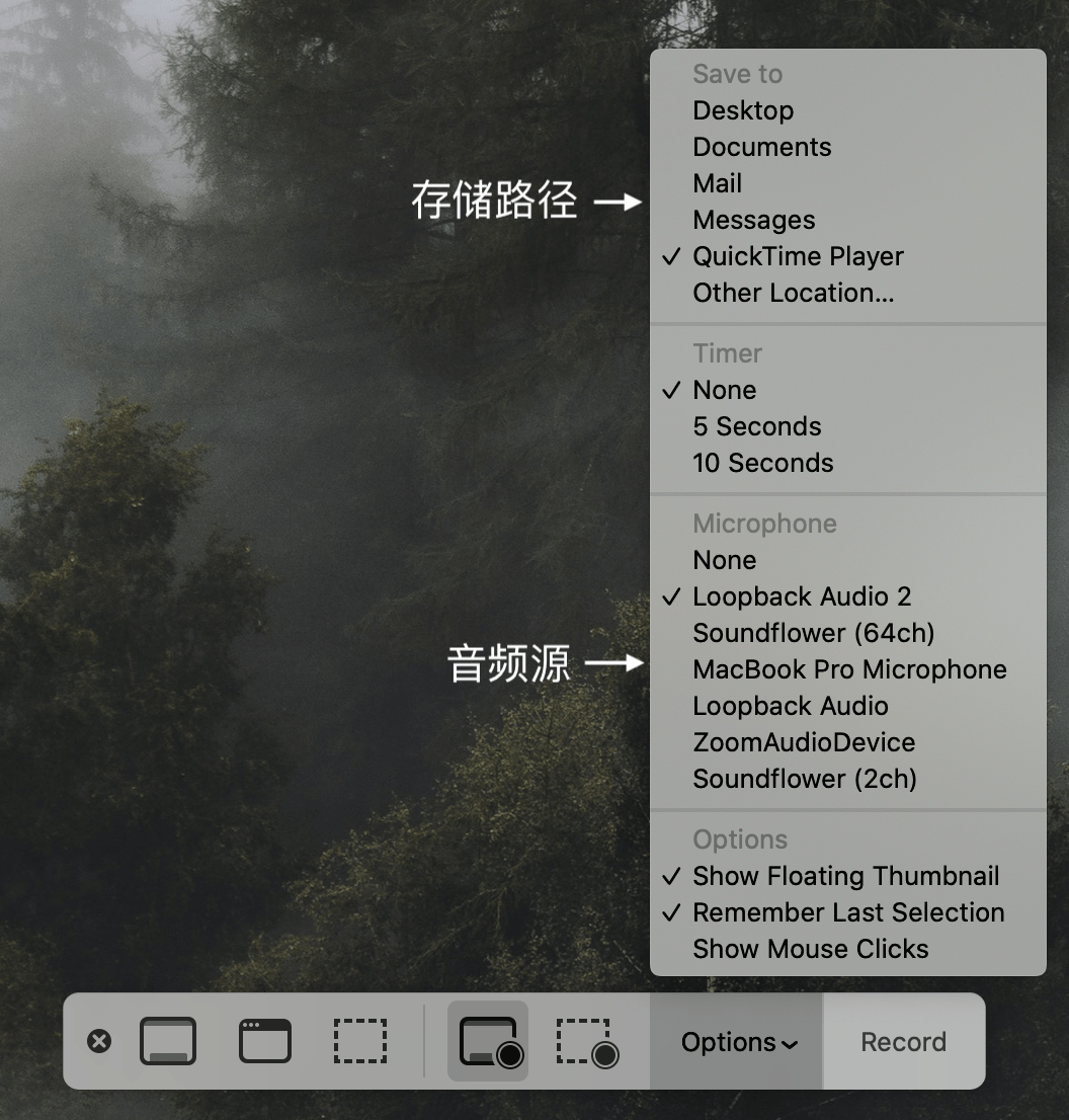 Zoom 会议摸鱼学