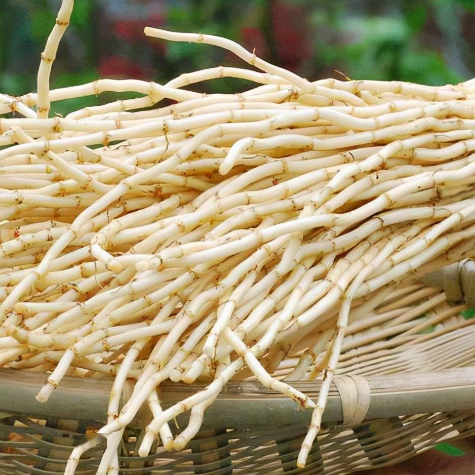 2,同时鱼腥草也不适合过敏性人群食用,有部分人群是不适合吃鱼腥草的.