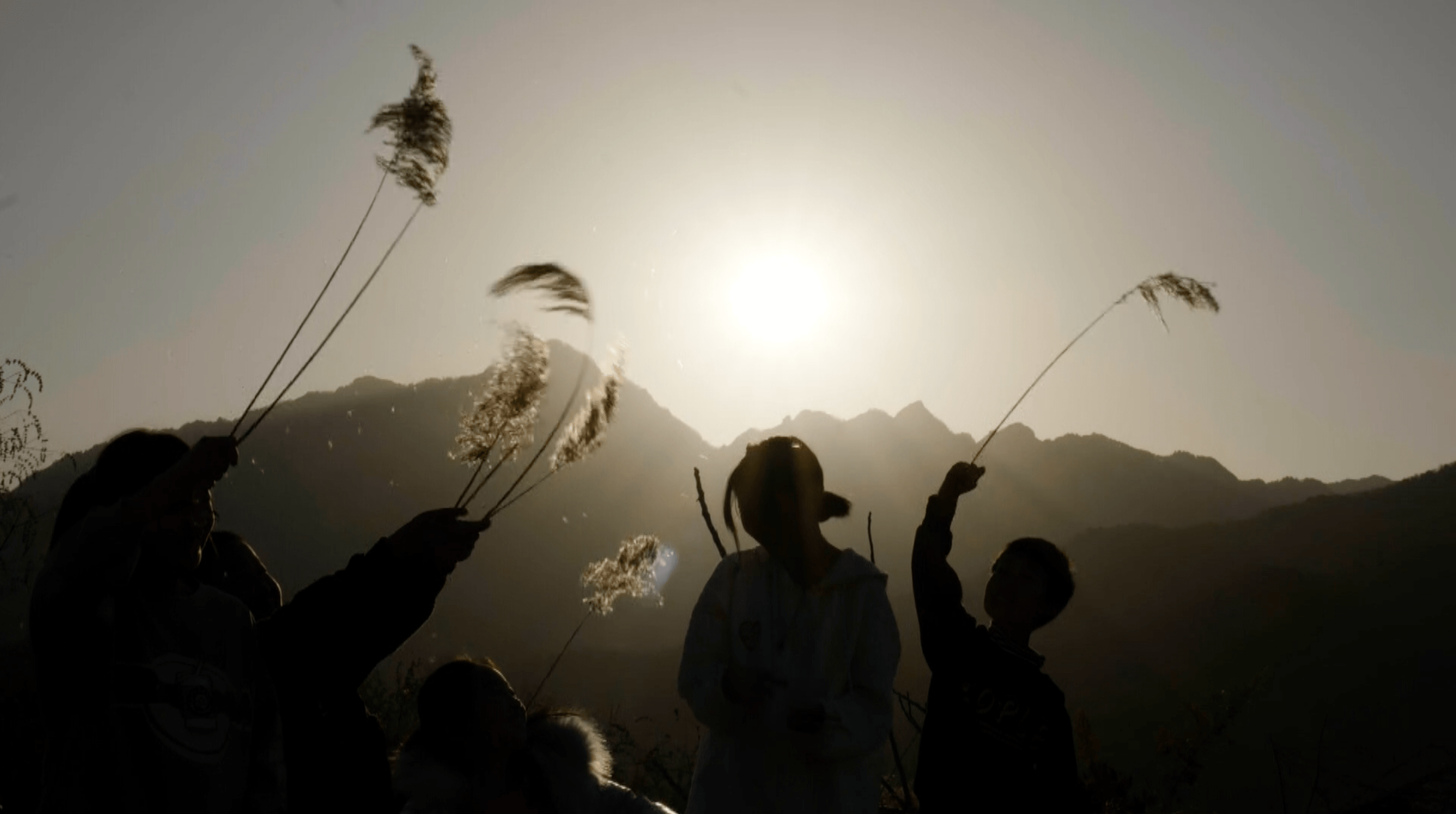 邓小岚|马兰花”的天籁之音：从大山唱到鸟巢