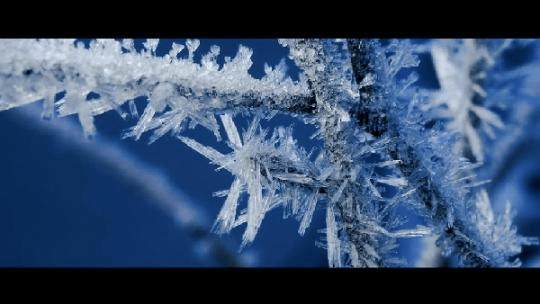 向未来|一起向未来 | 冰雪里的奥义