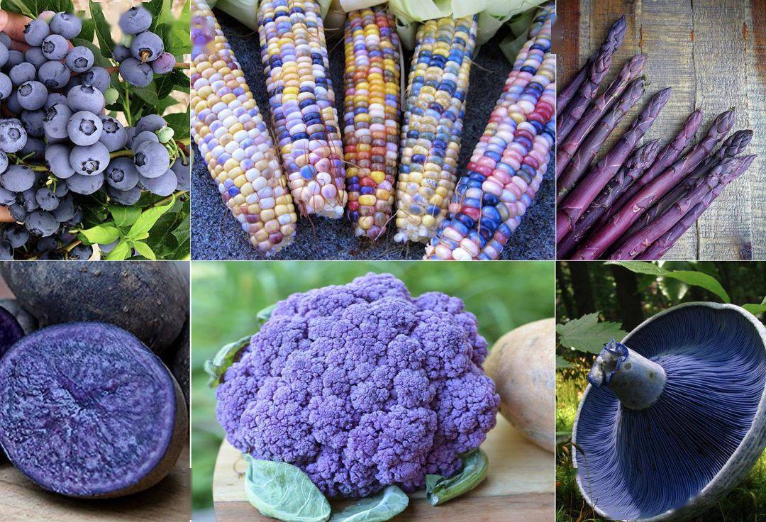 清脆的玉米薄片秘鲁美食先驱 robert ortiz,用家乡风味和鲜艳色彩为