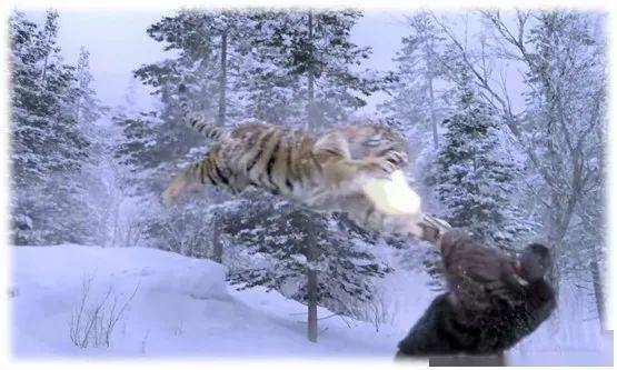 明知山有虎,偏向虎山行_杨子荣_土匪_智取威虎山