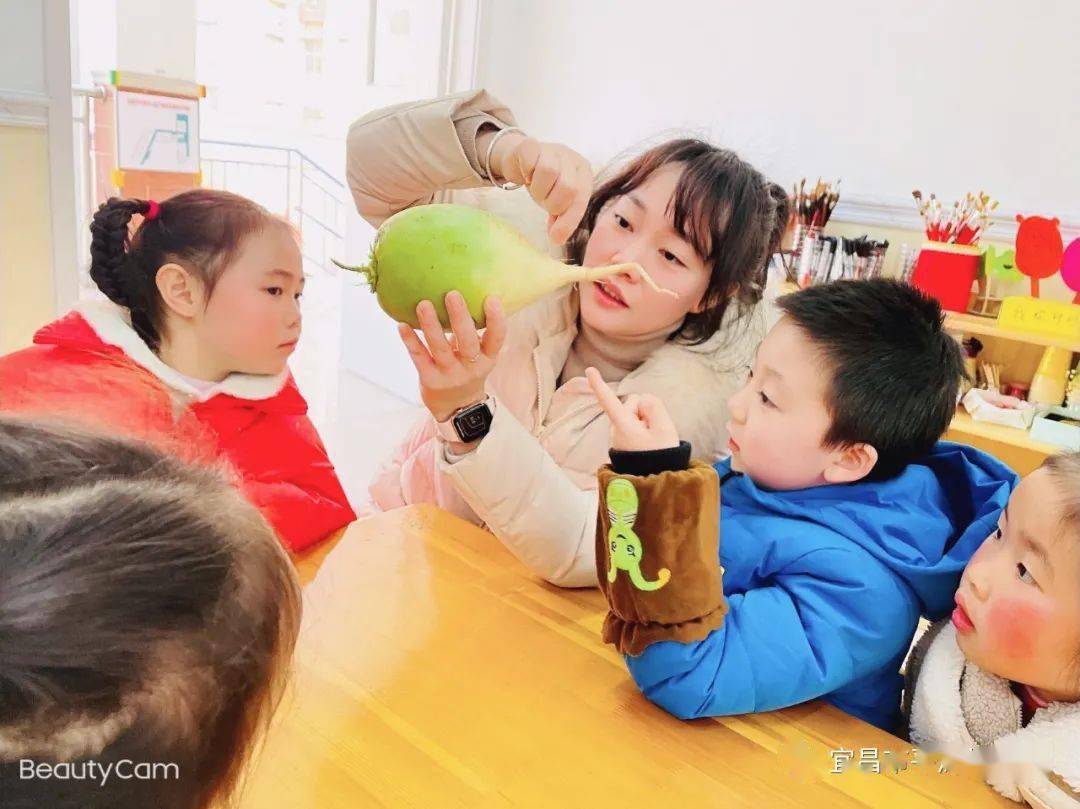 活动|校园品牌特色展播 ? 宜昌市平湖幼儿园:沐浴改革春风, 谱写奋进篇章