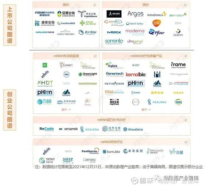 新冠、肿瘤mRNA管线占比过半,环状RNA成临床潜力股