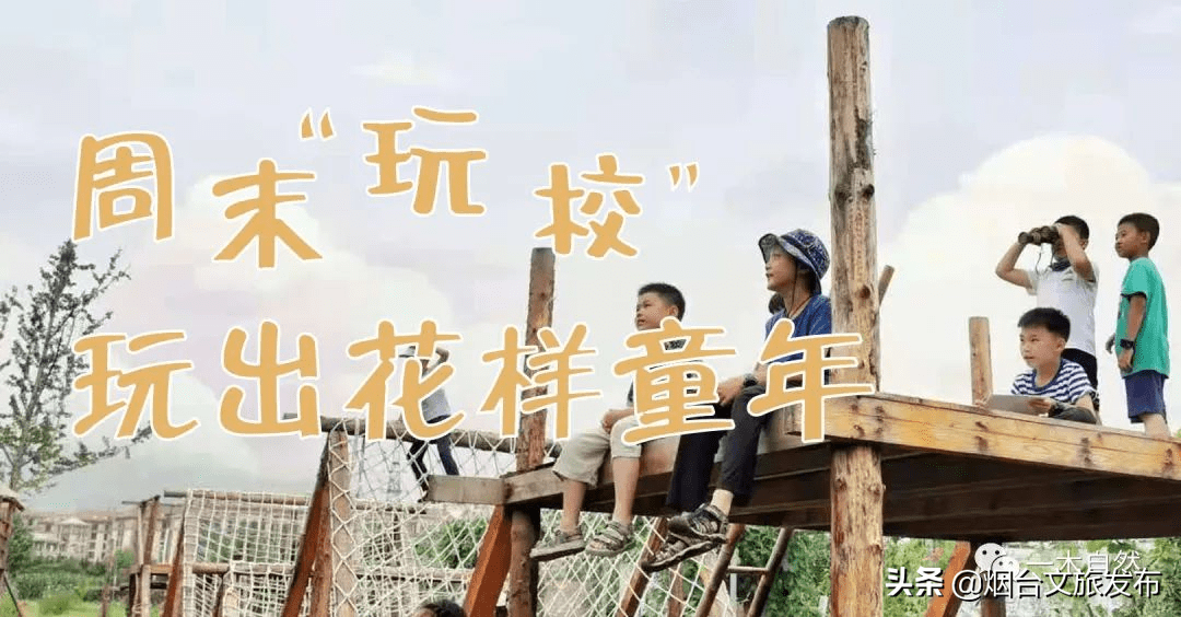 全民|烟台市全民阅读联盟下周活动预告