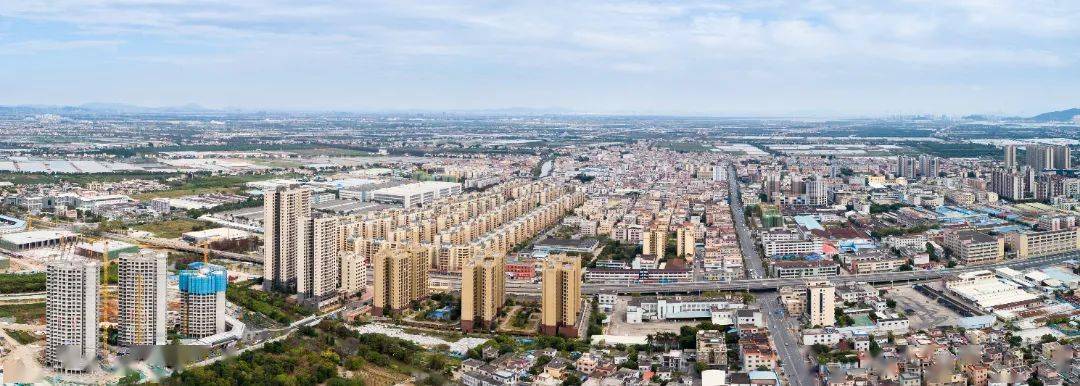 民众街道打好违法建设治理攻坚战擦亮岭南水乡生态名片