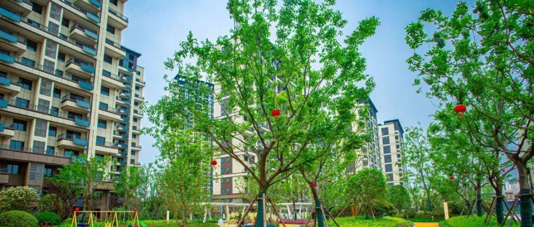 当代城MOMΛ低密洋房,那些不得不说的美好_实景图_高层_资源