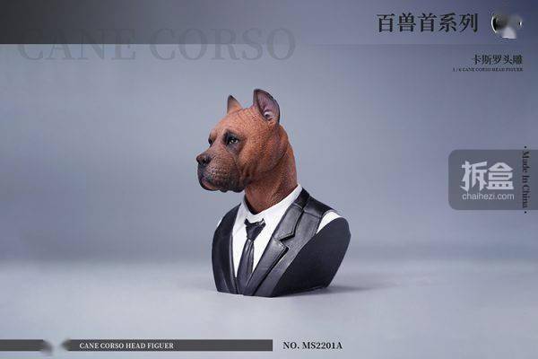 售价MOSTOYS 百兽首头雕 1/6卡斯罗犬头雕可动 兵人配件