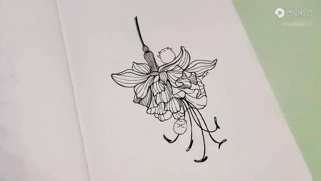 简笔画过程视频用一支中性笔教你画一朵倒挂金钟花