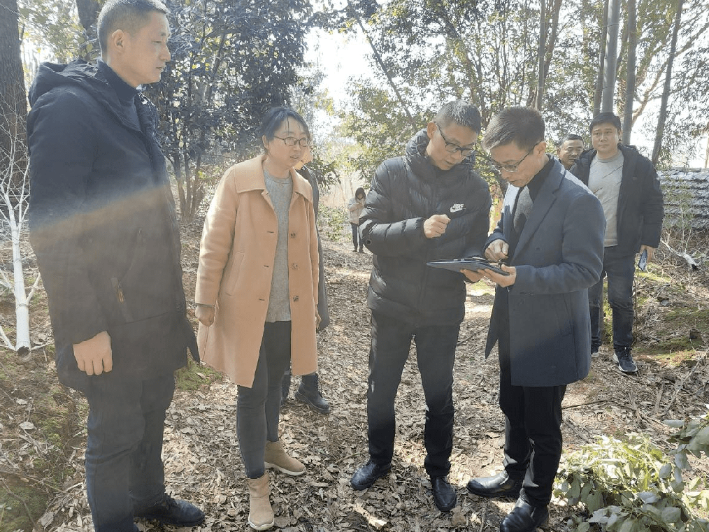 政务要闻吴刚带队察看湾沚镇2022年重点项目开工情况