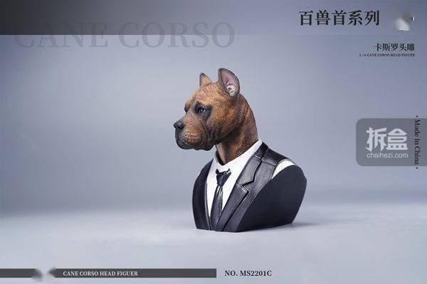 售价MOSTOYS 百兽首头雕 1/6卡斯罗犬头雕可动 兵人配件