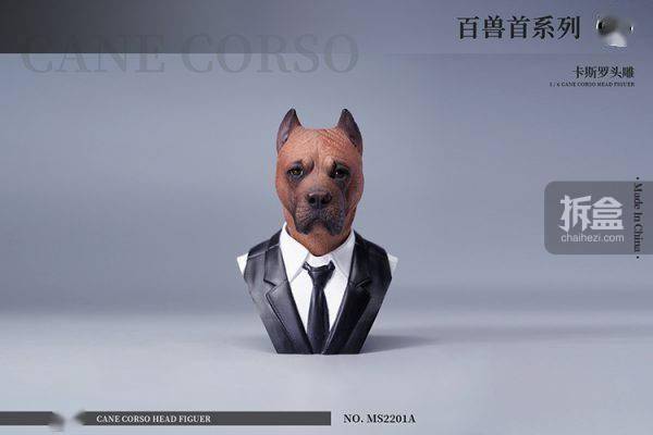 售价MOSTOYS 百兽首头雕 1/6卡斯罗犬头雕可动 兵人配件