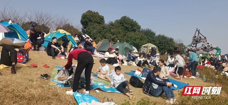 太阳|壮观！太阳一出来，草地上就“长”满了快发霉的湖南人