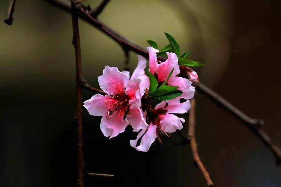 �������������д����ã�