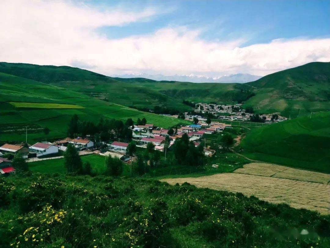 马小七水镇我的梦