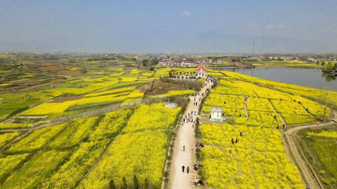 老君镇|汉台区油菜花最佳赏花地看过来→