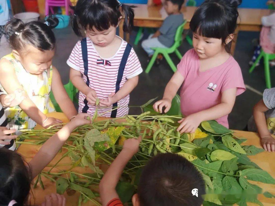 师幼共|园所风采丨东关中心幼儿园：润物细无声，师幼共成长