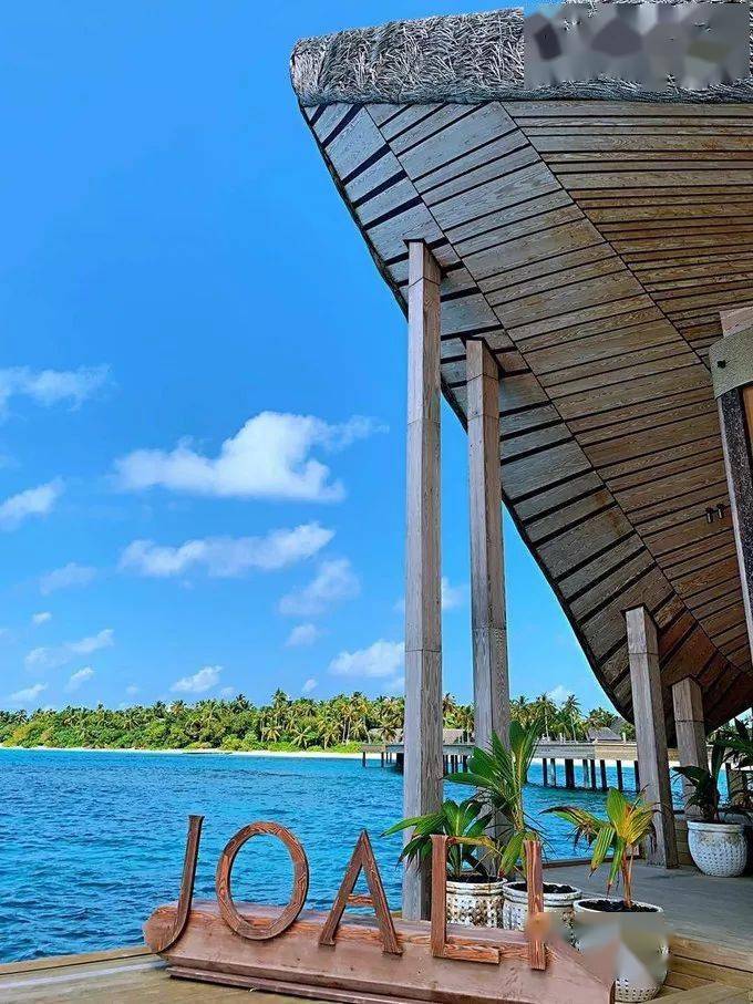 joali maldives | 馬爾代夫海上奢華仙境 嬌麗島_泳池_別墅_with