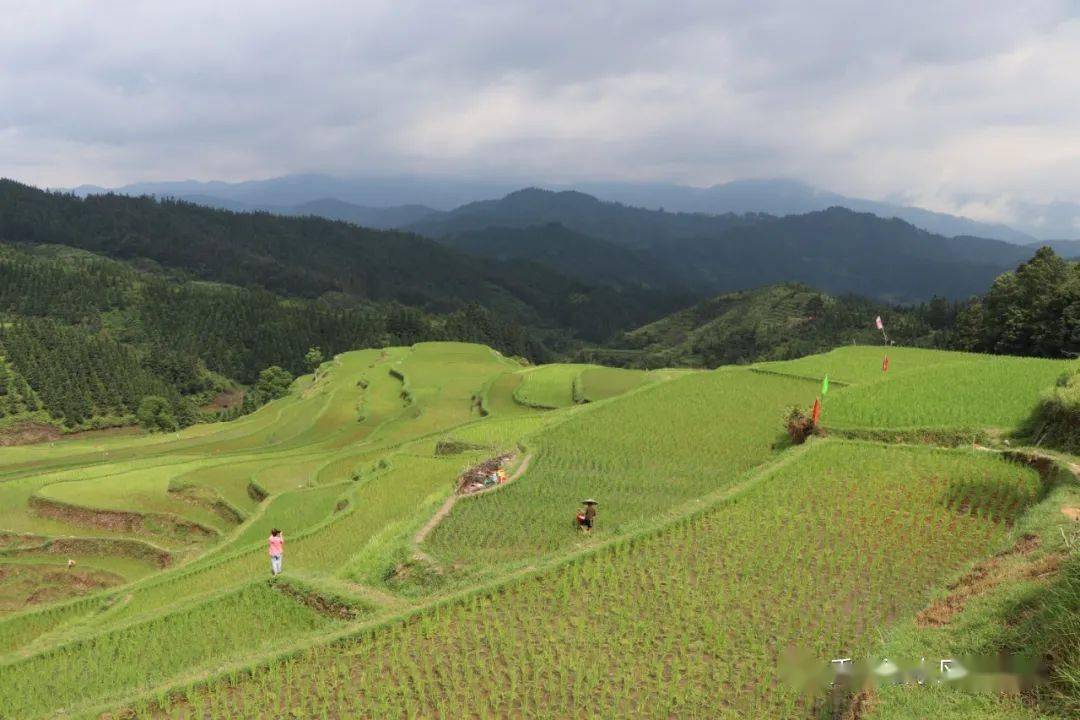 拱洞乡聚焦产业发展开启乡村振兴新篇章