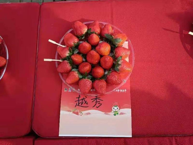 第十九届长丰草莓文化旅游节开幕
