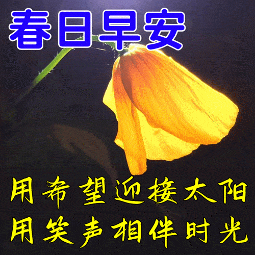 3月1日早上好祝福语图片大全,问候动态表情图片大全!_生活_时光_人生