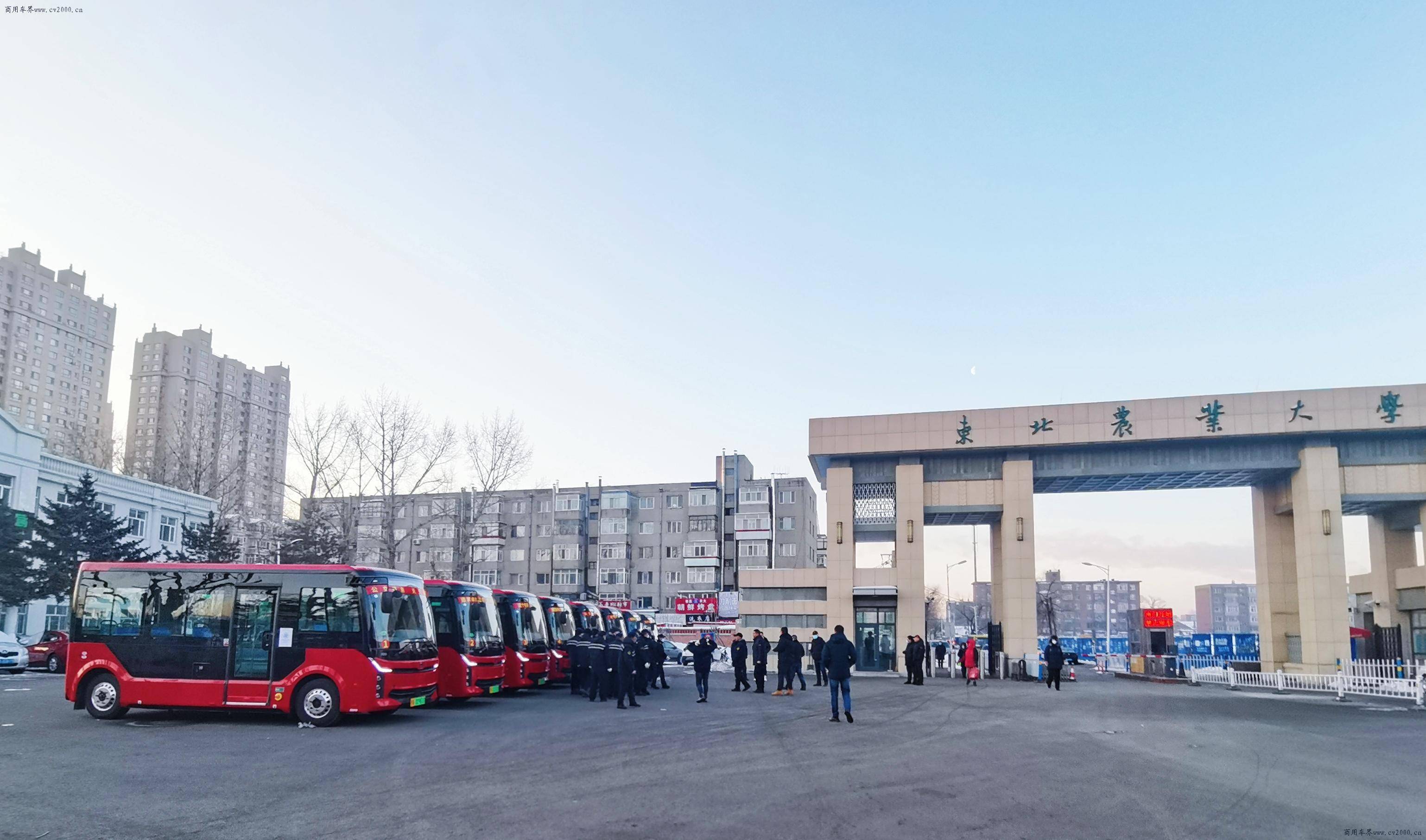 东北农业大学校门图片