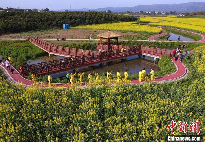 踏青|成都金堂万亩油菜花海盛开 游客踏青出游