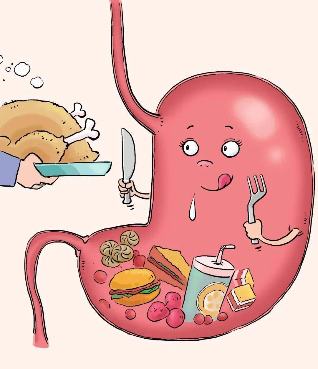 胃,真会越撑越大,越饿越小吗?_食物_状态_腺体