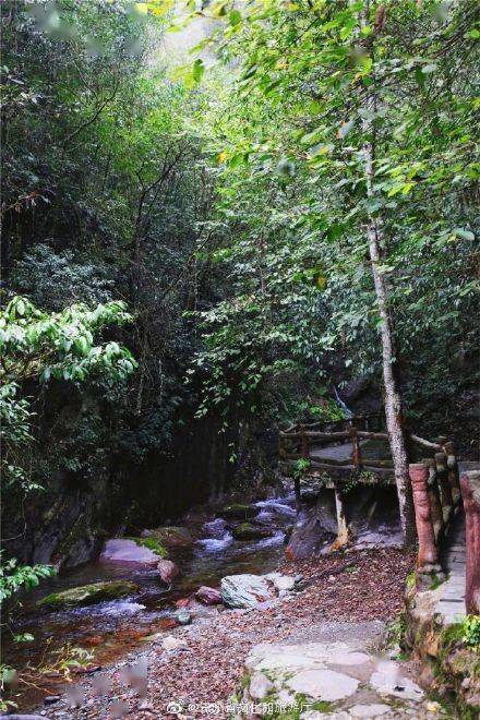 微博|春天来了，跟我一起去亚木沟“撒野”！