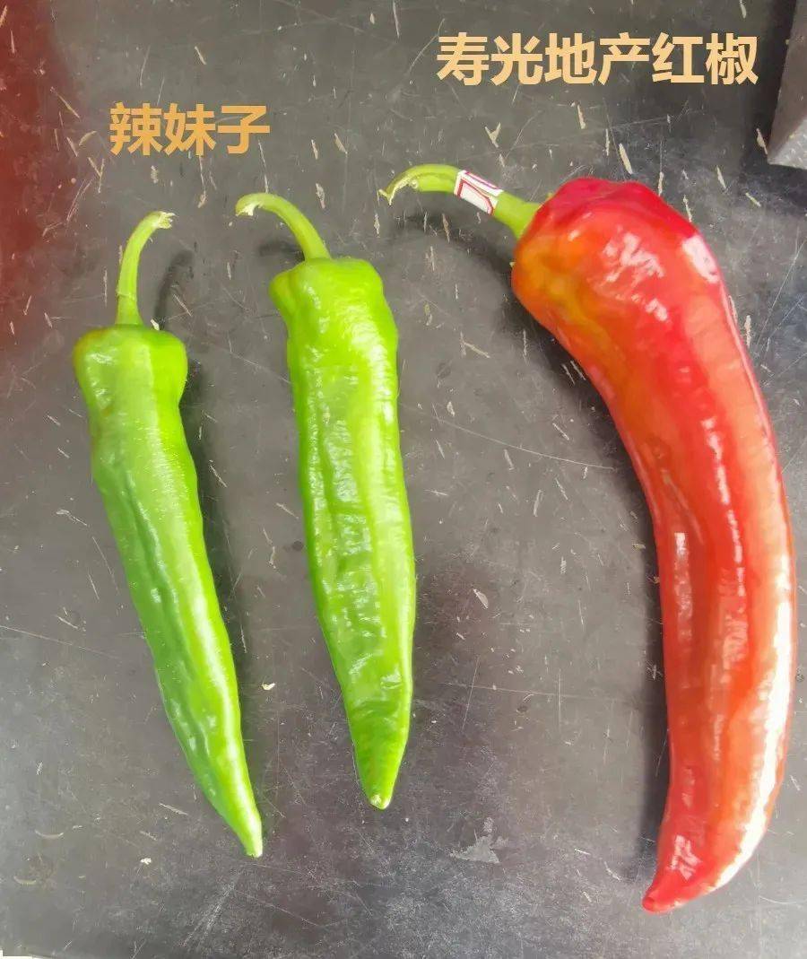 辣妹子辣椒多少钱 1d4e424113f444d8bd211573e253416e.jpeg