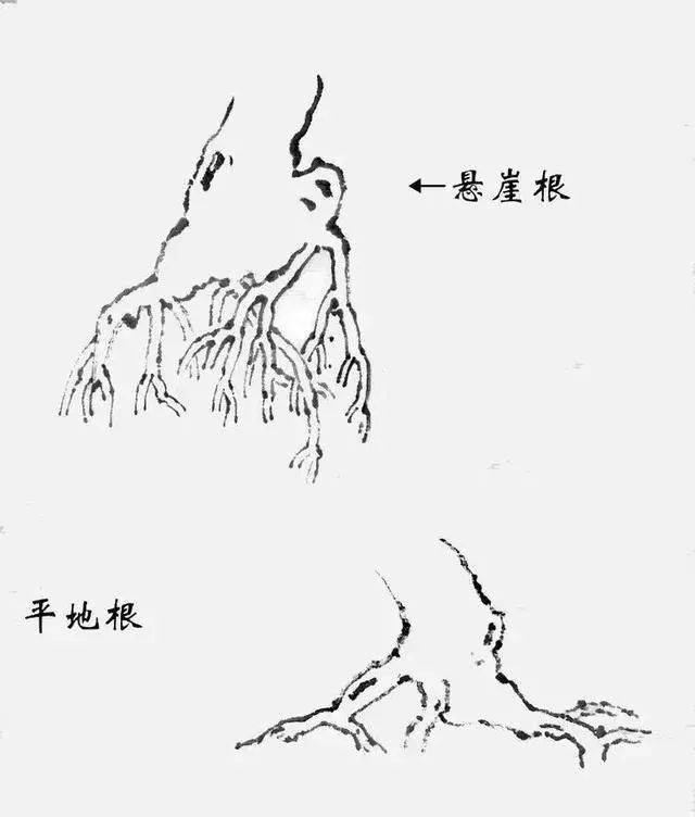 山水画入门丨一篇文章让你学会画山水_露根_树根_画法