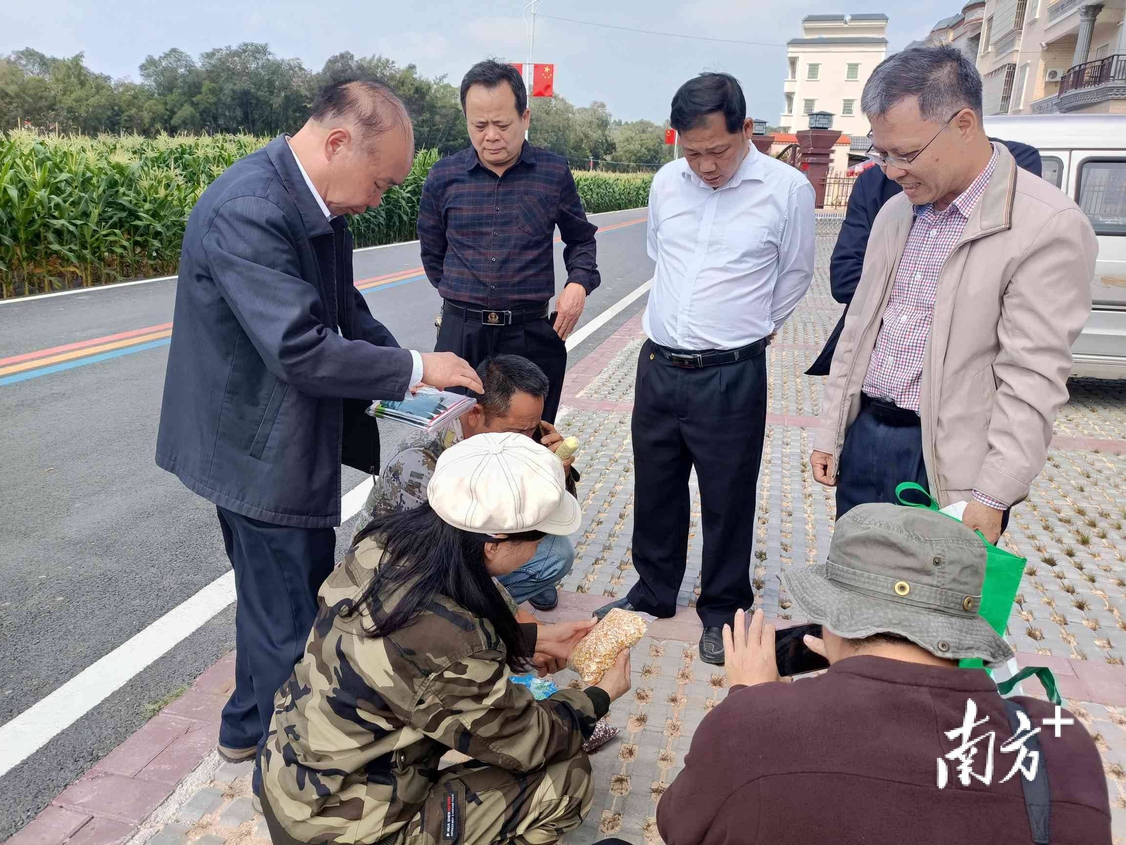 高州石鼓镇来了科技特派员要让科技走进百姓农田里
