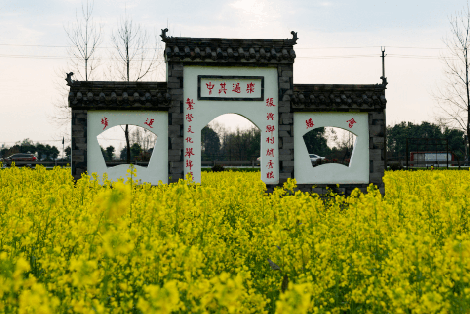 天马镇|又见花开都江堰 | 打卡菜花宝藏地图，尽享春日美好！