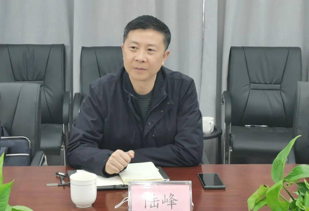 促发展保安全三区市场监管局党组书记局长陆峰带队走访大体检企业