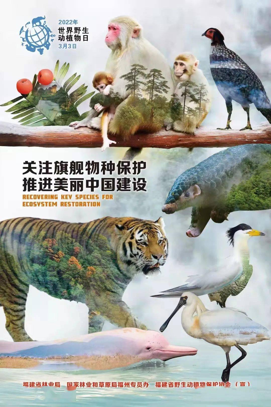 世界野生动植物日福建省珍稀濒危野生动物科普小课堂