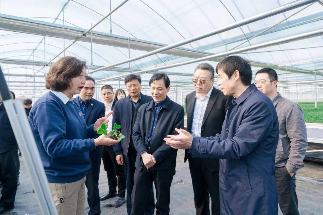 【上级调研】省人大农委主任委员徐鸣华一行来平调研_发展_农业_平湖