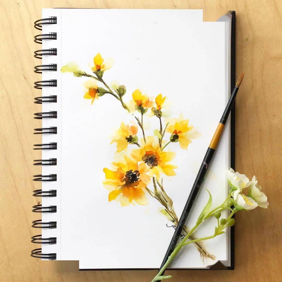 仅用一支笔,就能轻松驾驭超唯美绚丽的水彩花卉!