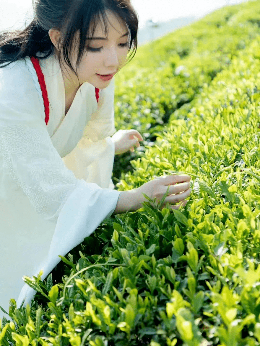 健美汉服女神图片（798人文艺术欣赏ppt404） 健美汉服女神图片（798人文艺术欣赏ppt404）《汉服健身》 健身健美