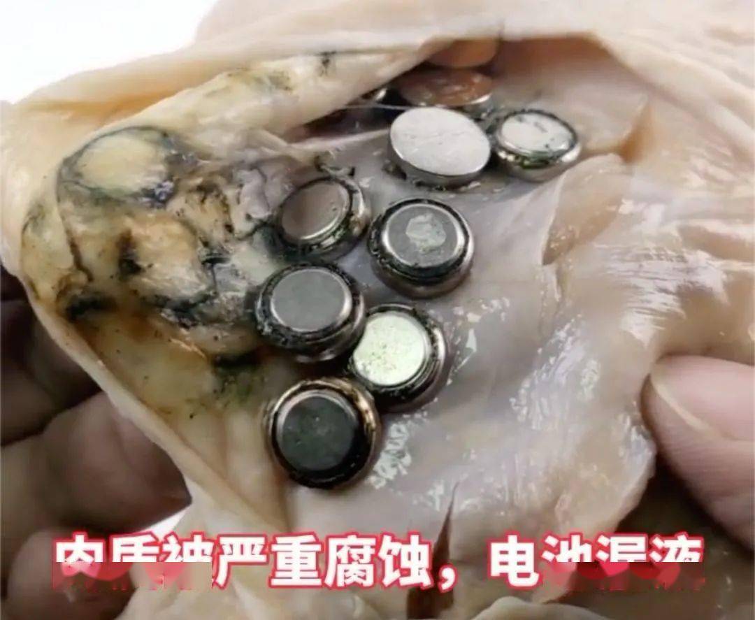 这种危险品你家也有……_电池_宝宝_纽扣