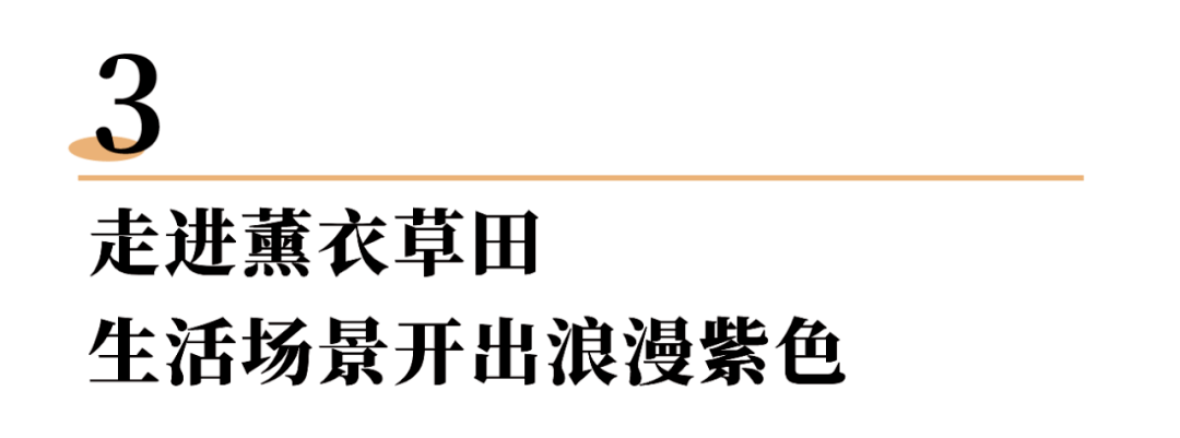 禾木|5个好友用6年，在新疆造了9个小院，开门就是薰衣草田，煮茶遛马回归乡野生活