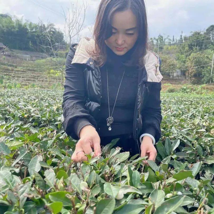 奋进的旋律