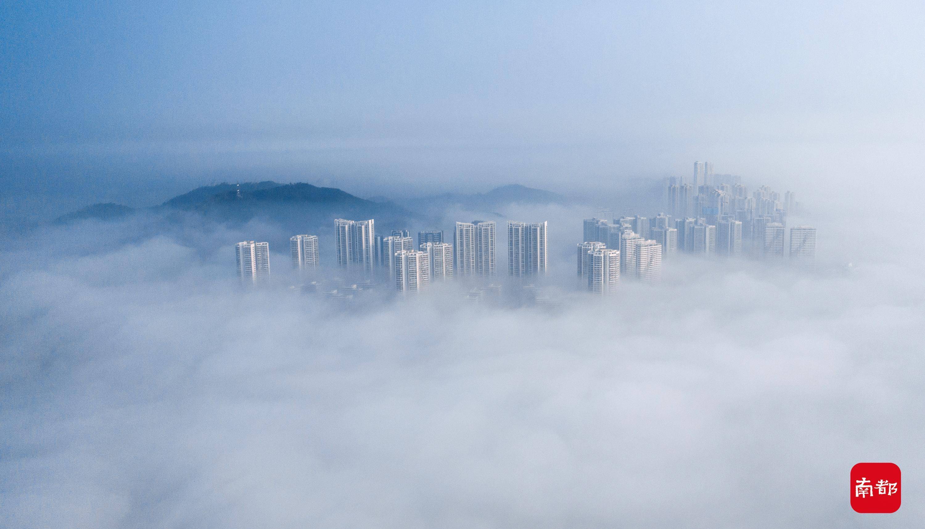 组图看粤澳两地现低空平流雾,雾中城市蔚为壮观_南都_横琴_大雾