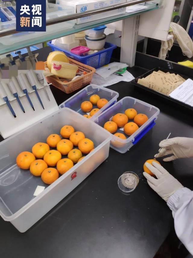 这22个瞬间，有个共同点