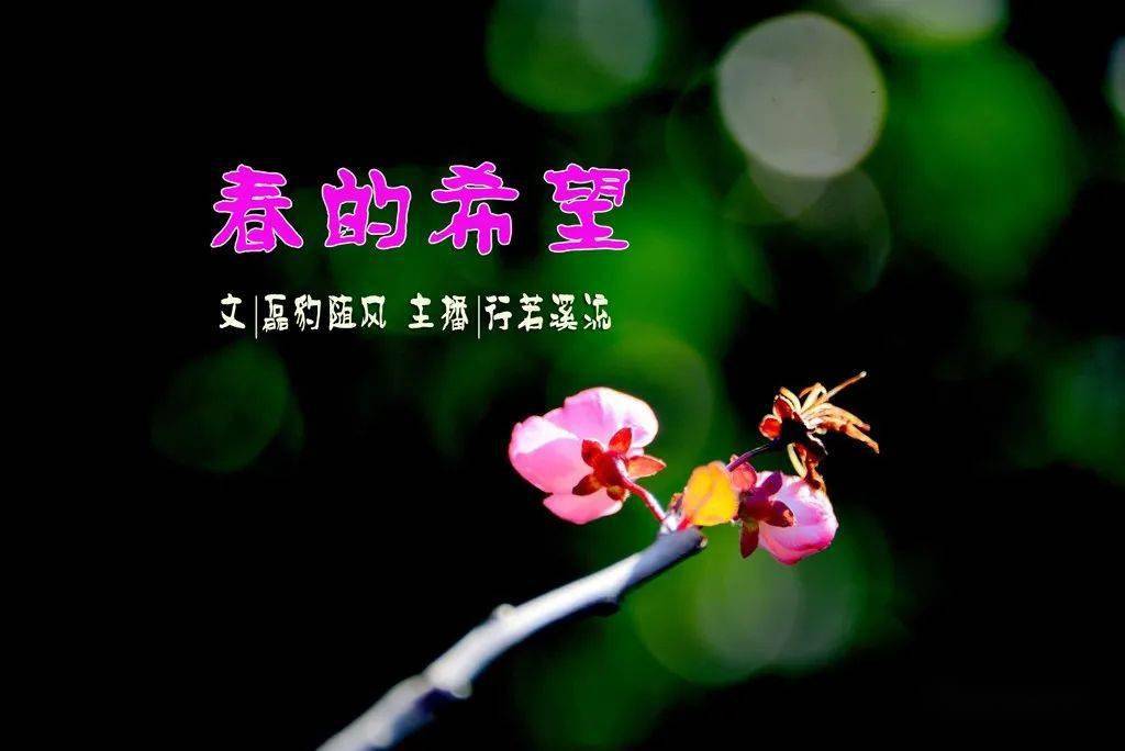 新一年当要奋发春的礼赞已然悄悄伴随礼炮掠过今宵二零二二的钟声从未